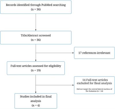 Neuroablative central lateral thalamotomy for chronic neuropathic pain